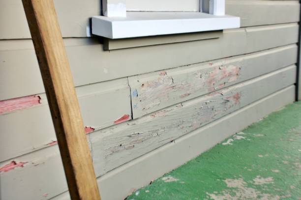 Best Custom Trim and Detailing for Siding  in Tabor City, NC